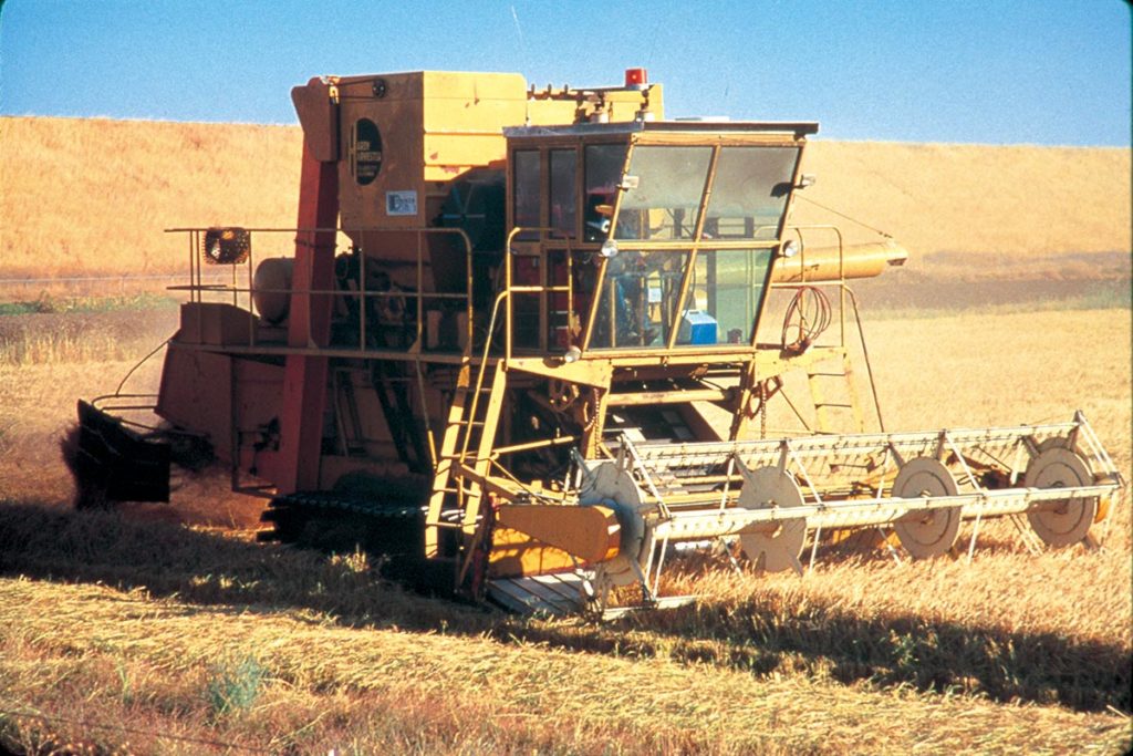 美國稻米的栽種