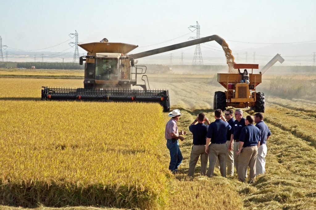Rice Leadership Development Program